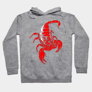 Scorpion 3D Scorpio skorpion Skorpio Hoodie